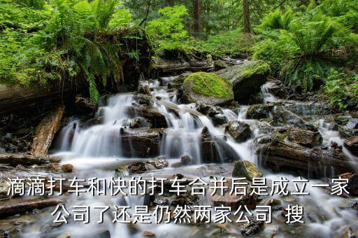 滴滴快的合并后叫什么，滴滴打車和快的打車合并后是成立一家公司了還是仍然兩家公司  搜