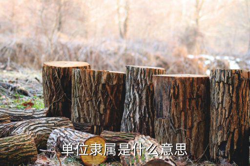 什么是部屬單位，單位隸屬是什么意思