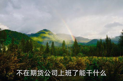 去期貨公司能做什么，本人去某期貨公司總部適合做什么
