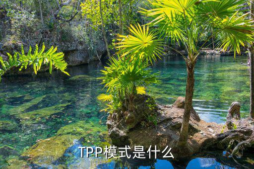 tpp什么時候生效，TPP文件時什么東西