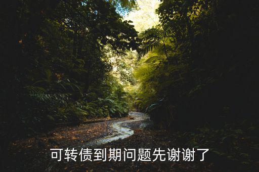132001可轉(zhuǎn)債什么時候到期期，可轉(zhuǎn)債到期問題先謝謝了