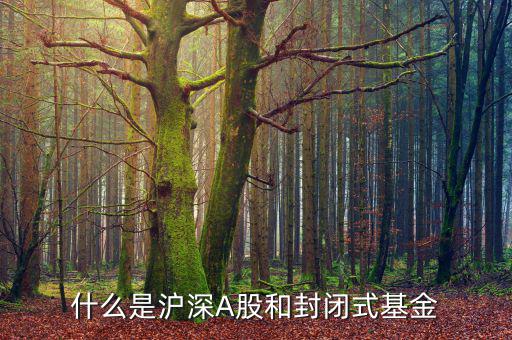 什么是上證封閉基金，請問什么是上海封閉式基金操作跟股票一樣嗎