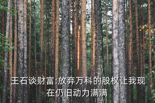  王石談財(cái)富:放棄萬科的股權(quán)讓我現(xiàn)在仍舊動力滿滿