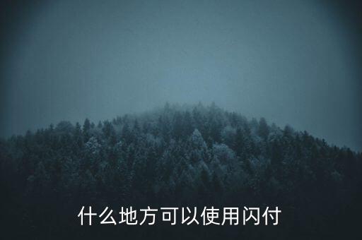 濟南什么地方支持閃付，濟南那個超市pos機有閃付