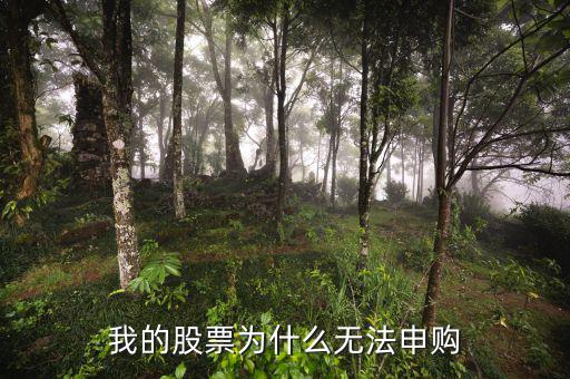 我的股票為什么無(wú)法申購(gòu)