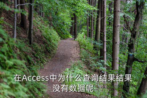 832494為什么沒有數(shù)據(jù)，在Access中為什么查詢結(jié)果結(jié)果沒有數(shù)據(jù)呢
