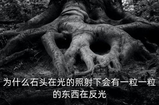 中金星石為什么這么差，為什么石頭在光的照射下會(huì)有一粒一粒的東西在反光