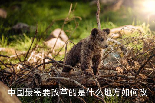 中國(guó)目前最需改革什么，中國(guó)最需要改革的是什么地方如何改