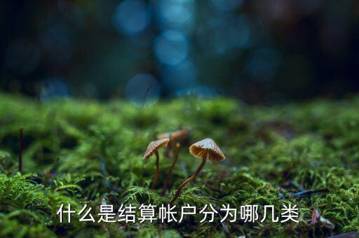 什么是結算帳戶分為哪幾類