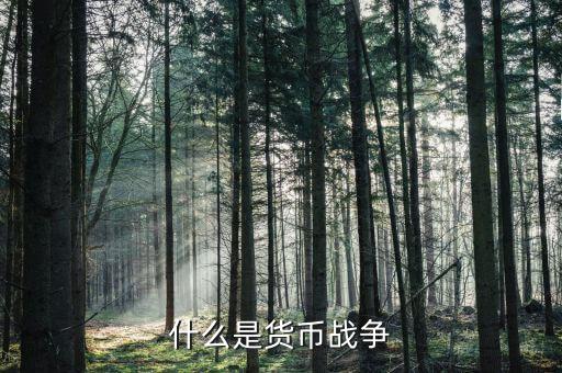 貨幣戰(zhàn)爭(zhēng)講的是什么，什么是貨幣戰(zhàn)爭(zhēng)