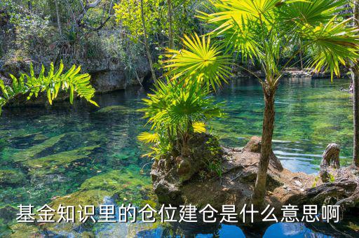 基金建倉什么意思，建倉是什么意思