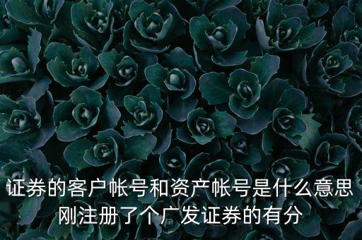 申萬(wàn)宏源資產(chǎn)賬號(hào)是什么，我知道瀘A股東的賬號(hào)怎么查資金賬號(hào)申萬(wàn)宏源