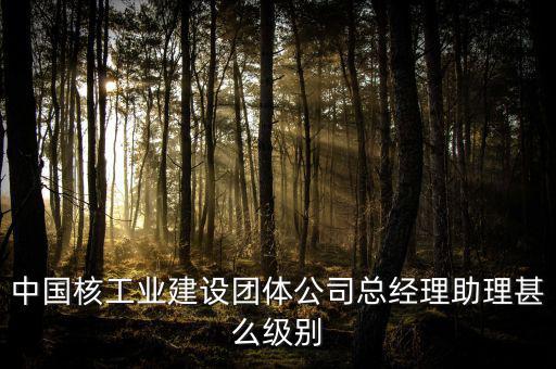 中國核工業(yè)建設團體公司總經理助理甚么級別