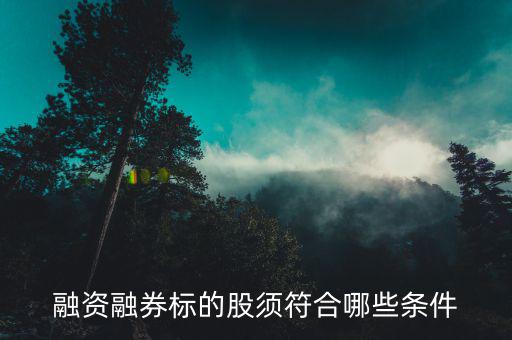 融資融券的股票具備什么條件，證券公司申請融資融券應(yīng)當(dāng)具備哪些條件