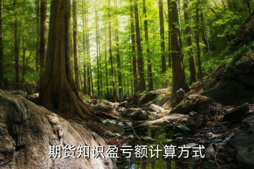 非法沽空是什么意思，高分注冊投資公司要具備哪些條件