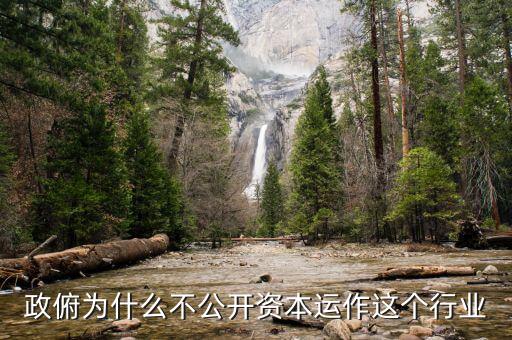 資本運(yùn)作為什么不公開，政俯為什么不公開資本運(yùn)作這個(gè)行業(yè)