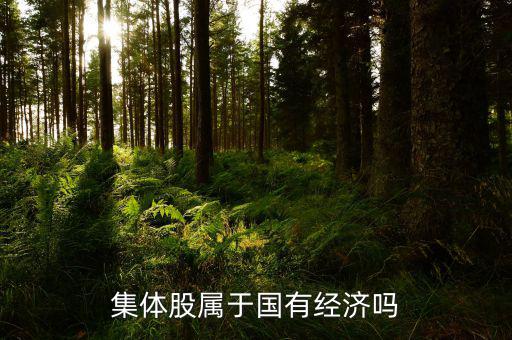 什么是集體股，集體股屬于國(guó)有經(jīng)濟(jì)嗎