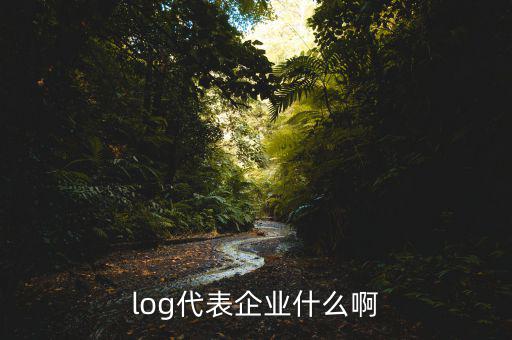 標(biāo)志著企業(yè)真正形成的是什么，log代表企業(yè)什么啊
