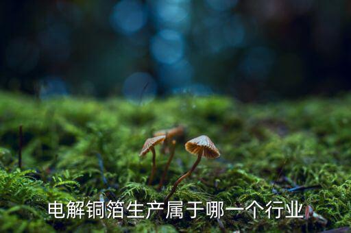 電子銅箔屬于什么行業(yè)，電解銅箔生產屬于哪一個行業(yè)