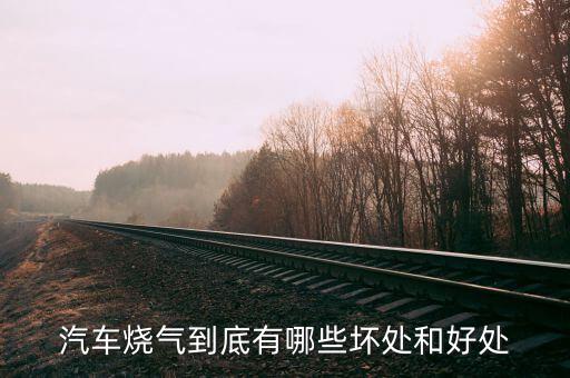 汽車(chē)燒氣有什么壞處，汽車(chē)改氣好處多還是壞處多