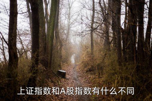 上證指數(shù)和A股什么區(qū)別，上證指數(shù)和A股指數(shù)有什么不同