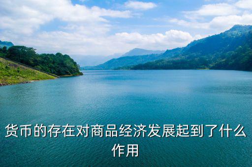 世界貨幣中心起到什么作用，貨幣的存在對商品經(jīng)濟發(fā)展起到了什么作用
