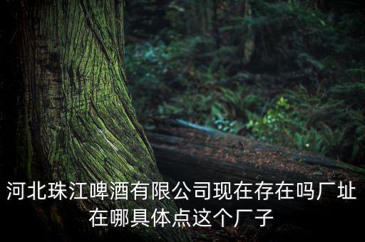 珠江啤酒為什么停牌，為什么市面上找不到珠江啤酒