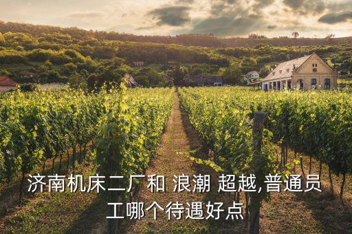 濟(jì)南機(jī)床二廠和 浪潮 超越,普通員工哪個待遇好點(diǎn)