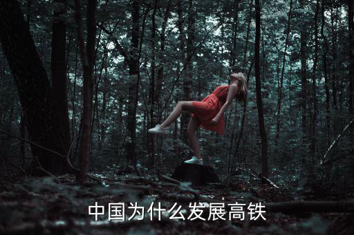 中國(guó)為什么大力發(fā)展高鐵，中國(guó)為什么發(fā)展高鐵
