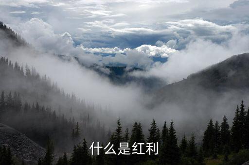 什么是全球化紅利，紅利是指什么意思