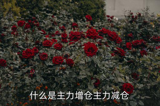 主力增減倉(cāng)什么意思，什么是主力增倉(cāng)主力減倉(cāng)