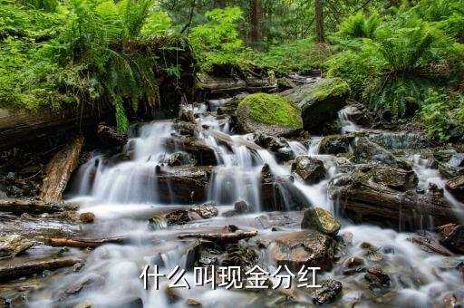理財(cái)產(chǎn)品現(xiàn)金分紅是什么意思，現(xiàn)金分紅是什么意思