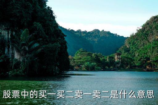 股票買(mǎi)一買(mǎi)二什么意思，股票中的買(mǎi)一買(mǎi)二賣(mài)一賣(mài)二是什么意思
