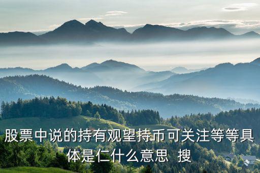 股票中持幣是什么意思，股票持幣什么意思