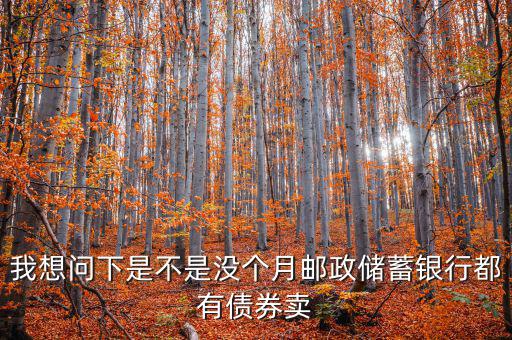 什么時(shí)候銀行承銷債券，政策性金融債承銷分銷流程