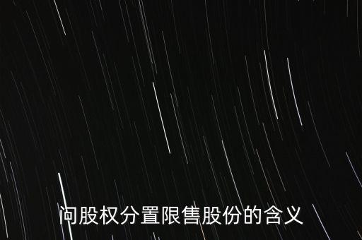 深大通大股東為什么是限售股，問股權(quán)分置限售股份的含義