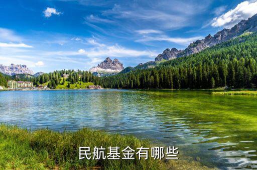 飛機(jī)票還有什么民航基金，民航基金有哪些