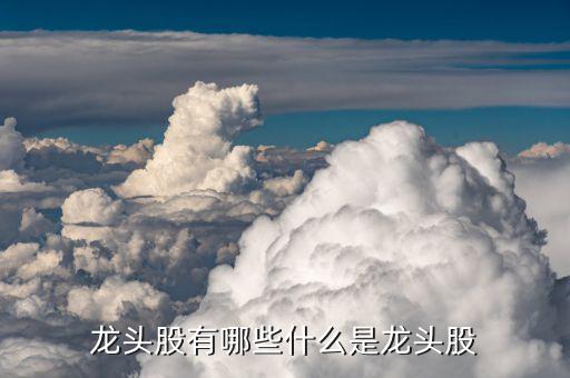 金馬股份怎么樣,部分熱門板塊的龍頭股介紹:比亞迪、金馬股份