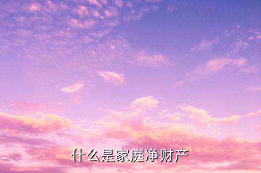 什么是家庭凈資產(chǎn)，什么是家庭凈財(cái)產(chǎn)