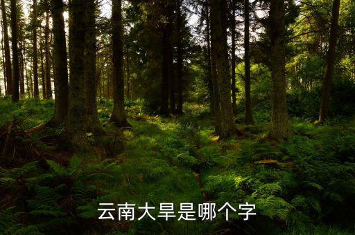 云南大旱是個(gè)什么字，云南大旱是哪個(gè)字