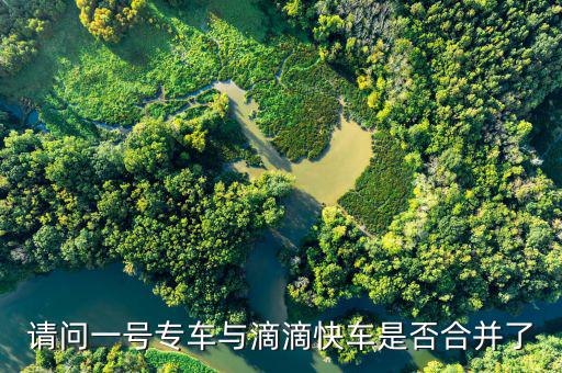 請問一號(hào)專車與滴滴快車是否合并了