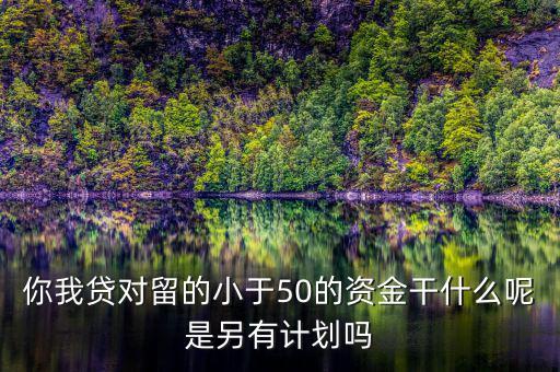 你我貸為什么我要投2萬(wàn)才能減50，你我貸對(duì)留的小于50的資金干什么呢是另有計(jì)劃嗎