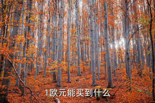 一歐元能買什么，1歐元在倫敦可以買到什么