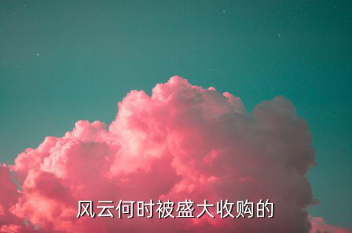盛大收購風(fēng)云改成什么名字了，風(fēng)云何時(shí)被盛大收購的