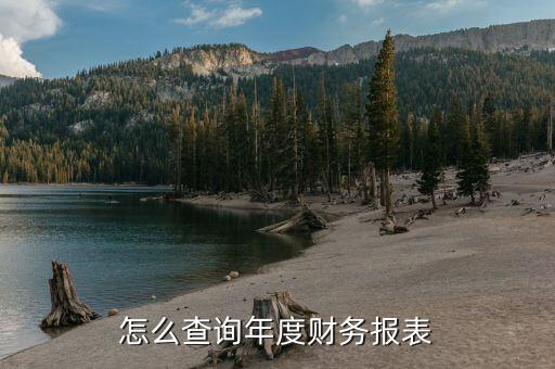 公司財(cái)報(bào)怎么查,財(cái)務(wù)報(bào)表如何在報(bào)稅系統(tǒng)中查詢(xún)?