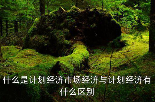 什么是市場經(jīng)濟和計劃經(jīng)濟，什么叫市場經(jīng)濟