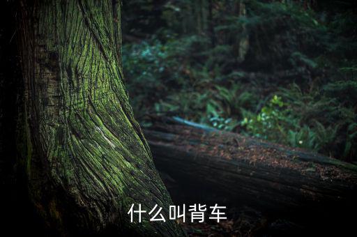 汽車背上叫什么來(lái)的，艙背車為何物
