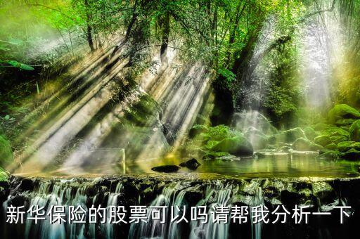 新華保險為什么股票漲這么多，新華保險的股票可以嗎請幫我分析一下
