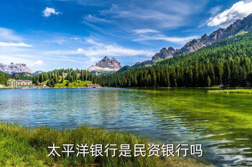 民資為什么銀行，太平洋銀行是民資銀行嗎