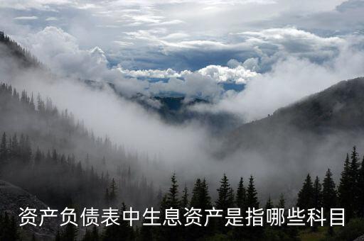 什么是生息負(fù)債，什么是速動(dòng)資產(chǎn)流動(dòng)負(fù)債和生息債務(wù)